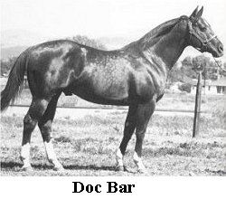 Doc Bar