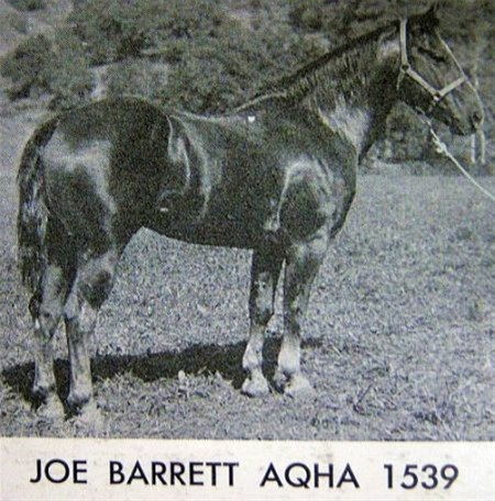 Joe Barrett