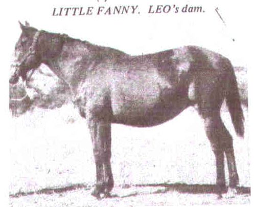 Little Fanny