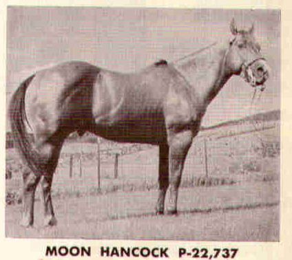 Moon Hancock 48