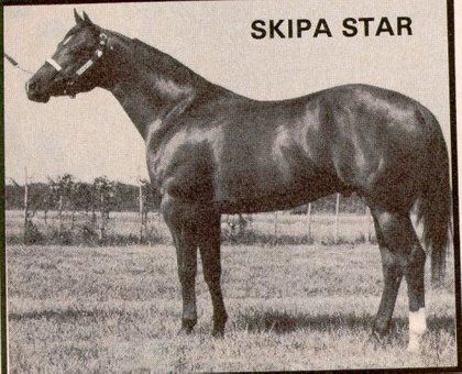 Skipa Star