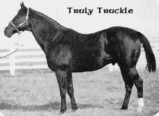 Truly Truckle