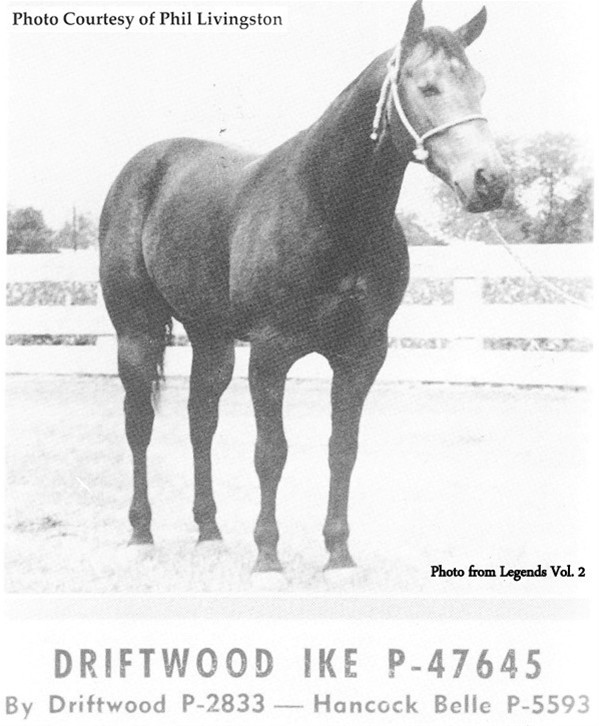 Driftwood Ike