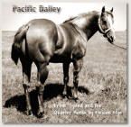 Pacific Bailey