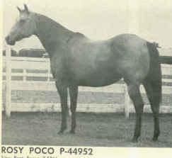 Rosy Poco