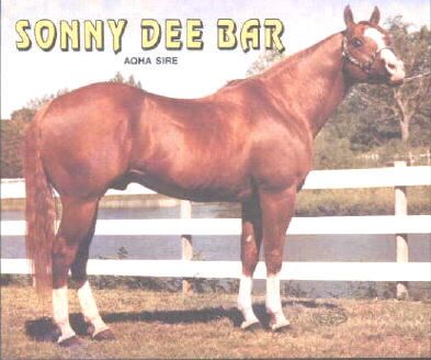 Sonny Dee Bar