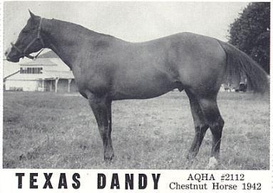 Texas Dandy