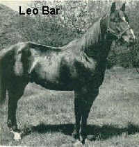 Leo Bar