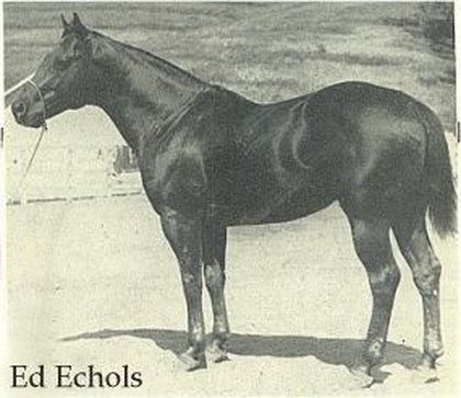 Ed Echols