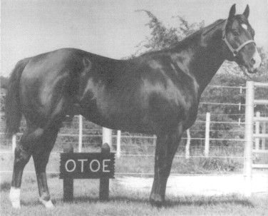 Otoe