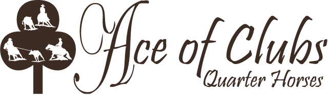 Ace of Clubs Quarter Horses logo